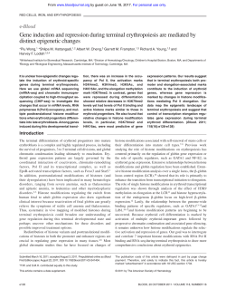 Gene induction and repression during terminal