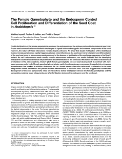 The Female Gametophyte and the Endosperm