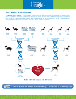 Annie - VIN News Service