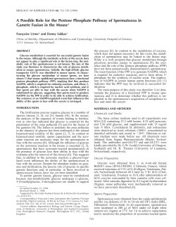 A Possible Role for the Pentose Phosphate Pathway of
