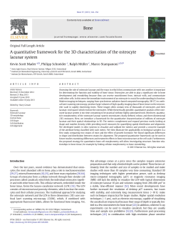 A quantitative framework for the 3D characterization of the osteocyte