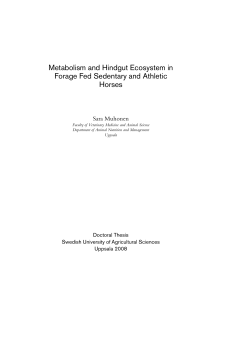 Metabolism and Hindgut Ecosystem in Forage Fed Sedentary and