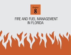 fire and fuel management in florida