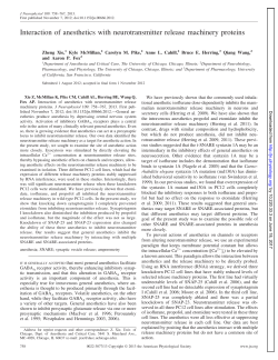 Interaction of anesthetics with neurotransmitter release machinery