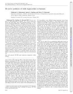 De novo synthesis of milk triglycerides in humans