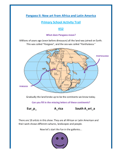 Pangaea II - Saatchi Gallery