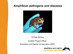 Taster Presentation F - Diseases of amphibians