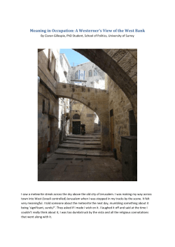 Meaning in Occupation - University of Surrey