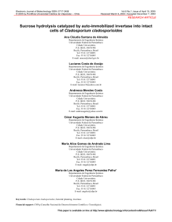 Sucrose hydrolysis catalyzed by auto