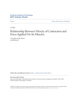 Relationship Between Velocity of Contraction and Force Applied On