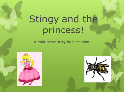 Stingy`s adventure!