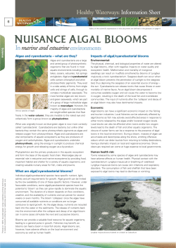 Happenings_May2004.qxd (Page 1)