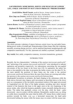 LOCOMOTION: SOME BONES, JOINTS AND MUSCLES OF