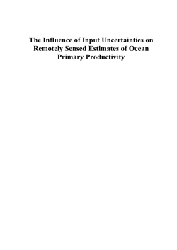 The Influence of Input Uncertainties on Remotely Sensed Estimates
