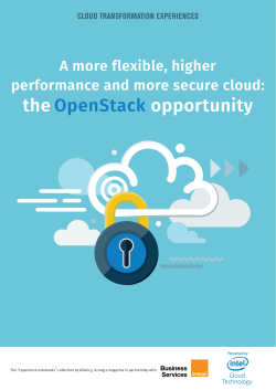 the OpenStack opportunity