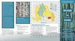 Through Cracks - Capital Regional District