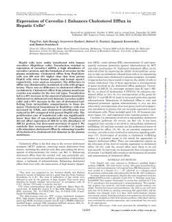 Expression of Caveolin-1 Enhances Cholesterol Efflux