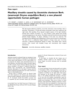 Maxillary sinusitis caused by Ascotricha chartarum Berk. (anamorph