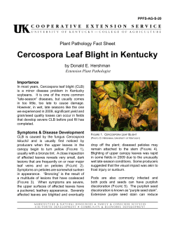 Cercospora Leaf Blight in Kentucky