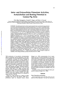 Intra- and Extracellular Potassium Activities