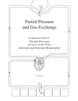 Partial Pressure and Gas Exchange