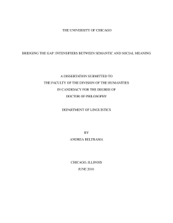 Bridging the Gap: Intensifiers between Semantic and Social Meaning