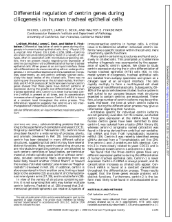 Differential regulation of centrin genes during ciliogenesis in human