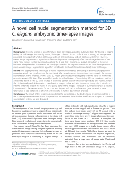 A novel cell nuclei segmentation method for 3D C. elegans