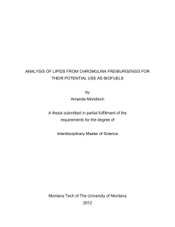 Analysis of Chromulina freiburgensis for the Use of Biofuels