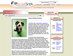 Canine Kidney Disease