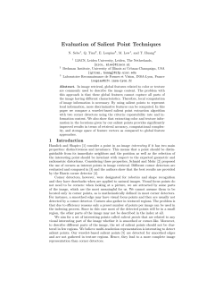 Evaluation of Salient Point Techniques