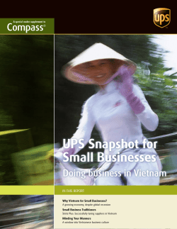 UPS Snapshot for Small Businesses