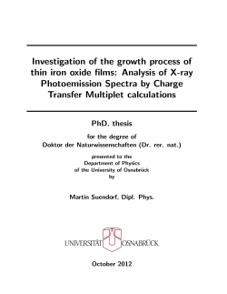 Investigation of the growth process of thin iron oxide