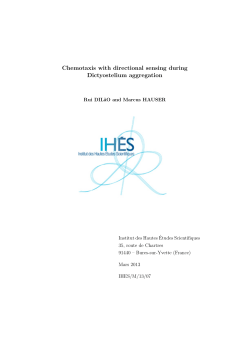 Chemotaxis with directional sensing during Dictyostelium