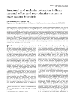 Structural and melanin coloration indicate parental