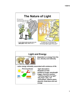 The Nature of Light