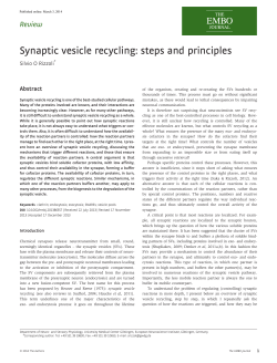 Synaptic vesicle recycling: steps and principles