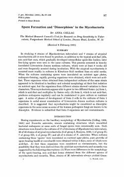 Spore Formation and `Dimorphism` in the Mycobacteria