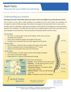 Back Facts - Palomar Health
