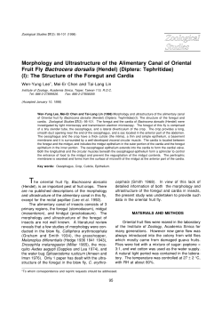 Morphology and Ultrastructure of the Alimentary Canal of Oriental