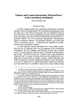 "Physical Force" in the Lautenberg Amendment