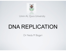 DNA REPLICATION