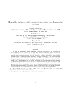 Homophily, influence and the decay of segregation in self