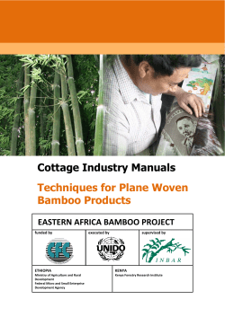 Cottage Industry Manuals Techniques for Plane Woven Bamboo
