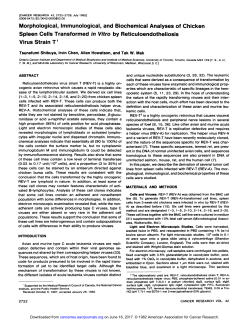 Morphological, Immunological, and Biochemical
