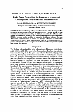 Eight Genes Controlling the Presence or Absence of