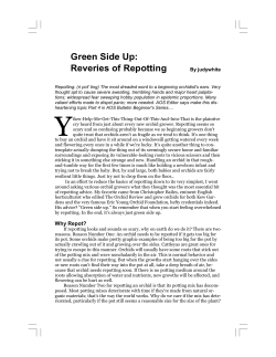 Green Side Up: Reveries of Repotting