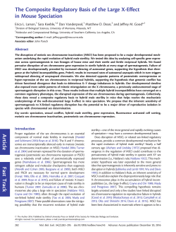 The composite regulatory basis of the large X