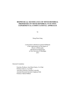 biophysical significance of mitochondrial properties on