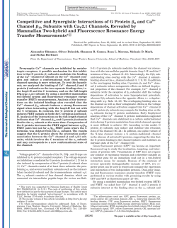 Competitive and Synergistic Interactions of G Protein 2 and Ca2